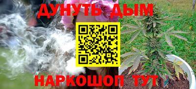 мдпв Можга