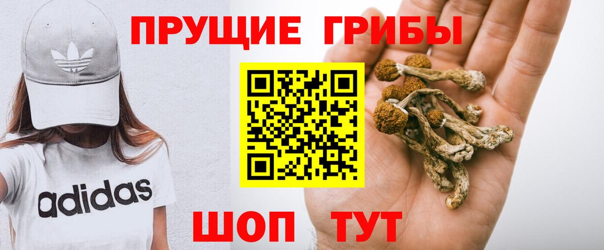 Галлюциногенные грибы Cubensis Боровичи