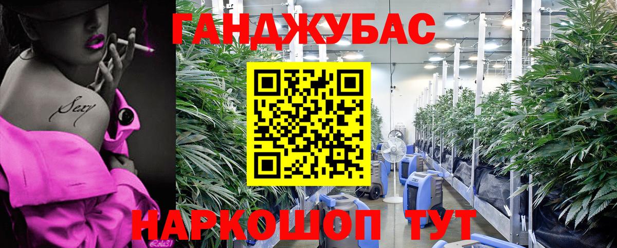 Канабис SATIVA & INDICA  МАРИХУАНА SATIVA & INDICA  Боровичи  Вход с VPN  Канабис LSD WEED  Бошки Шишки VHQ 
